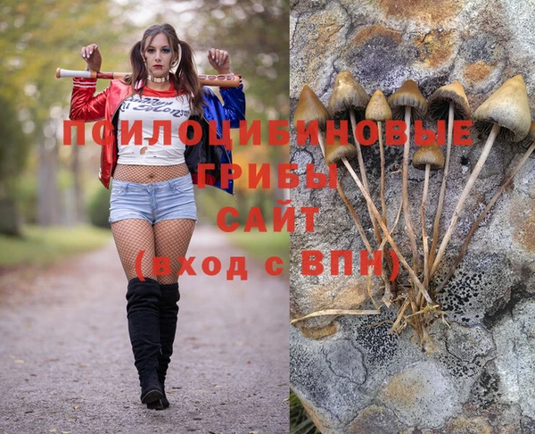 ECSTASY Беломорск