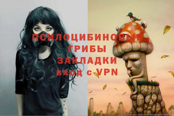 гидра Белоозёрский