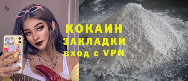 PSILOCYBIN Семёнов