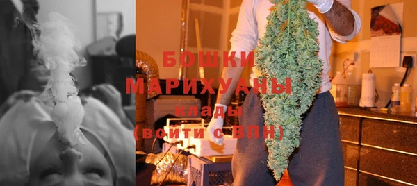 гидра Белоозёрский